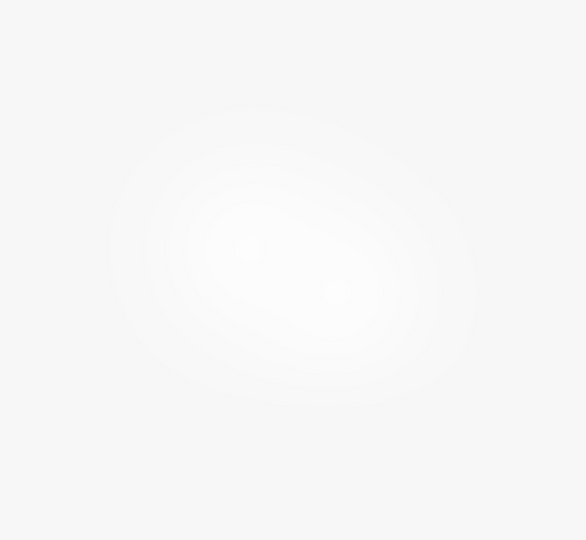 Alebrije Armadillo Silk Shorts